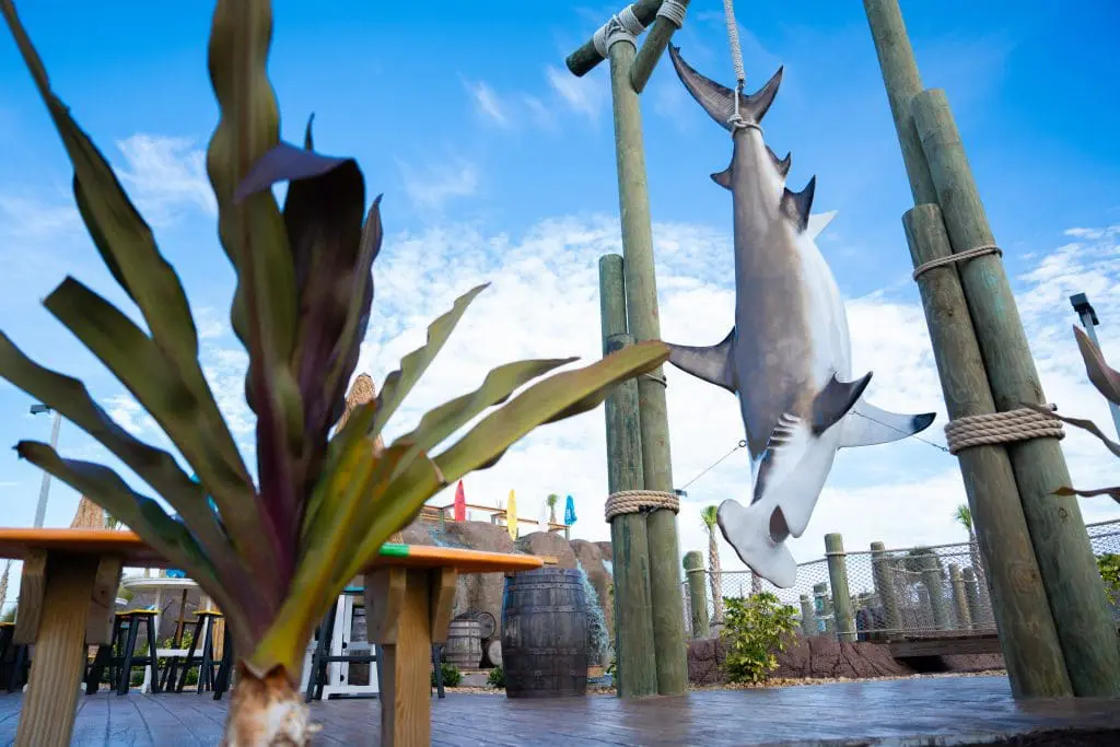 giant shark at mini golf