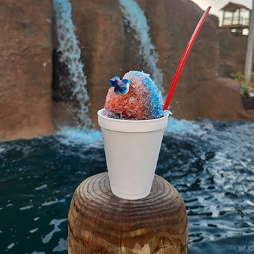 gal02 snow cone with water in the background
